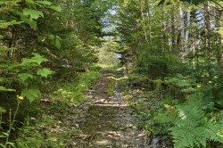 Terre/Terrain - 