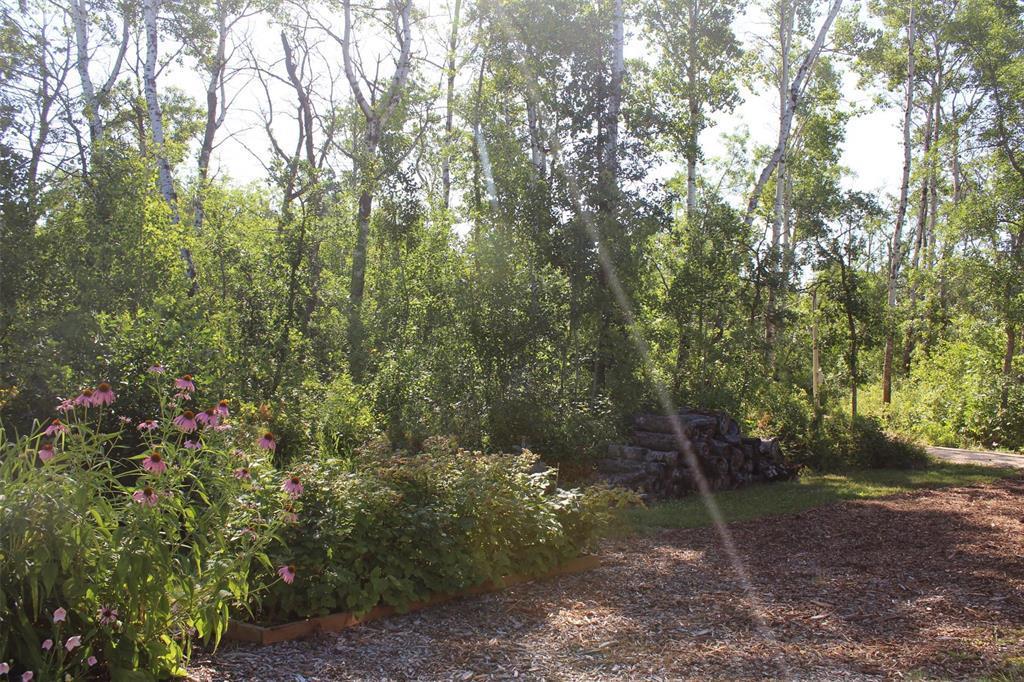 If you are looking for privacy, but still want to feel part of a community, this property is the right fit! - 7 Dalvik Road, Gimli Rm, MB - Outdoor