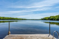 Bord de l'eau - 