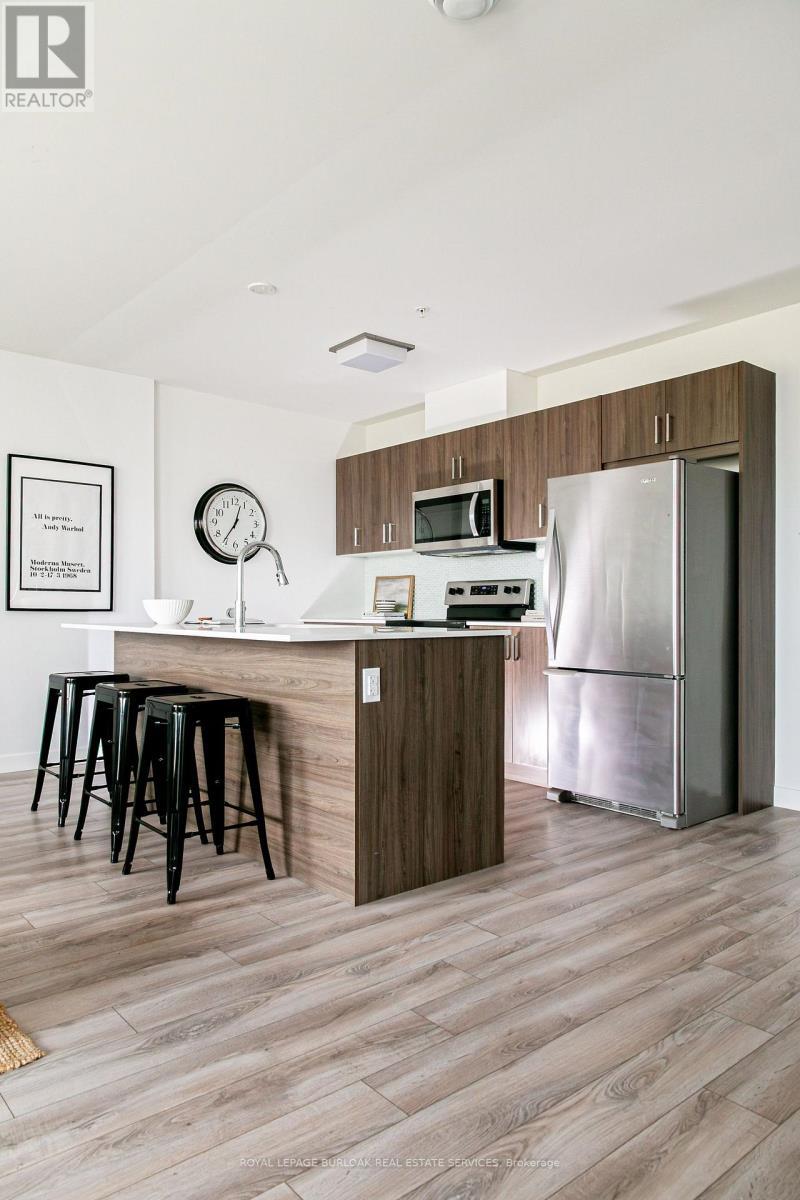 206 - 455 Charleton Avenue E, Hamilton, ON - Indoor Photo Showing Kitchen