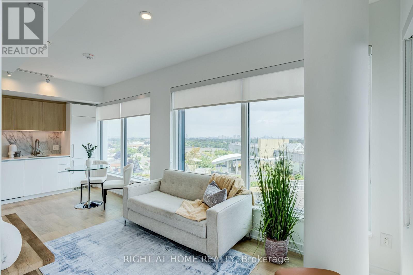 908 - 1100 Sheppard Avenue W, Toronto, ON - Indoor Photo Showing Living Room