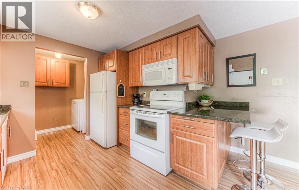 82 Roseneath Crescent, Kitchener, ON - Indoor Photo Showing Kitchen