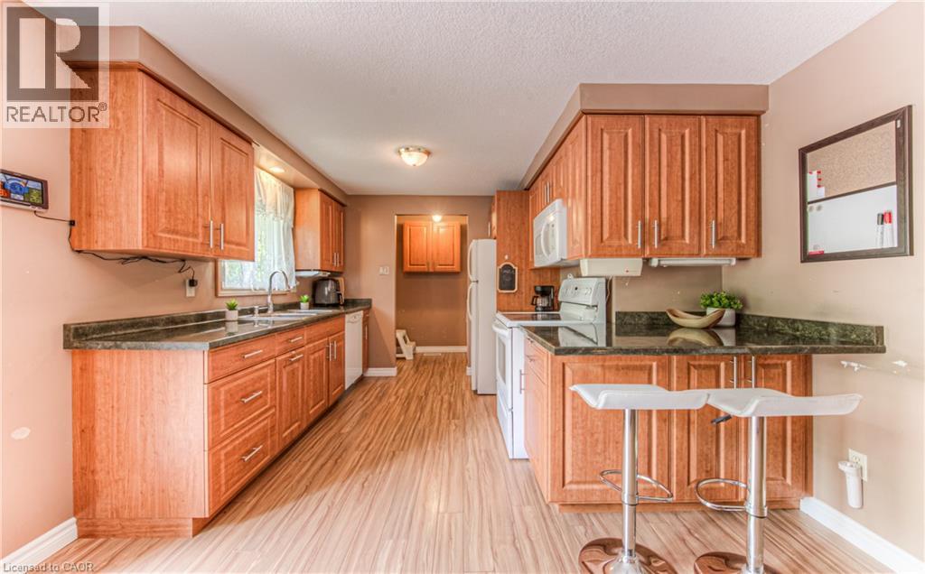82 Roseneath Crescent, Kitchener, ON - Indoor Photo Showing Kitchen
