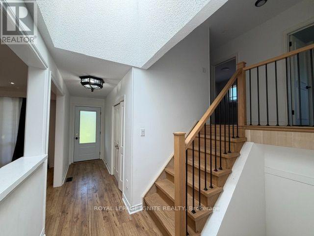 11 Fulwell Crescent, Toronto, ON - Indoor Photo Showing Other Room