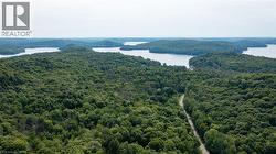 Lush forested landscape, visible bodies of water, winding road, expansive natural setting - 