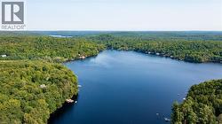 Expansive lake surrounded by dense, mature tree coverage - 