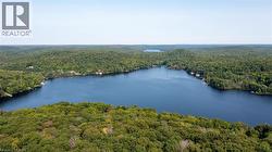 Expansive lake surrounded by dense, mature tree coverage - 