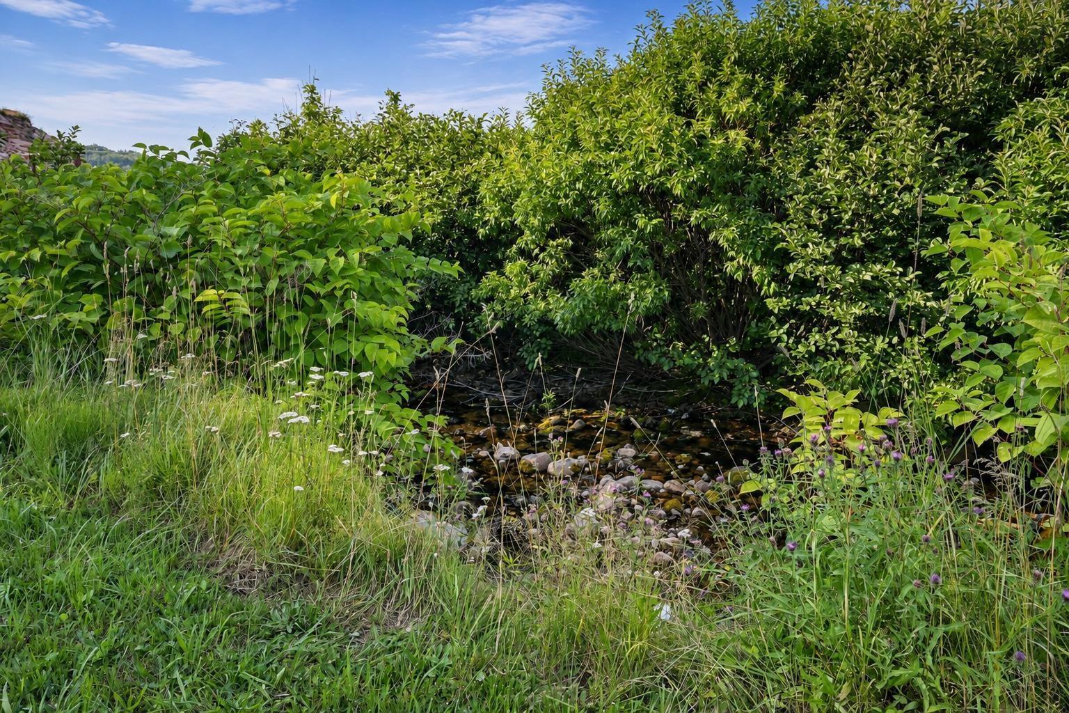 1251 White Point Rd, Smelt Brook, NS - Outdoor