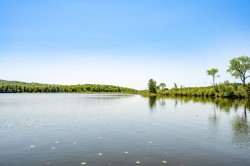 Bord de l'eau - 
