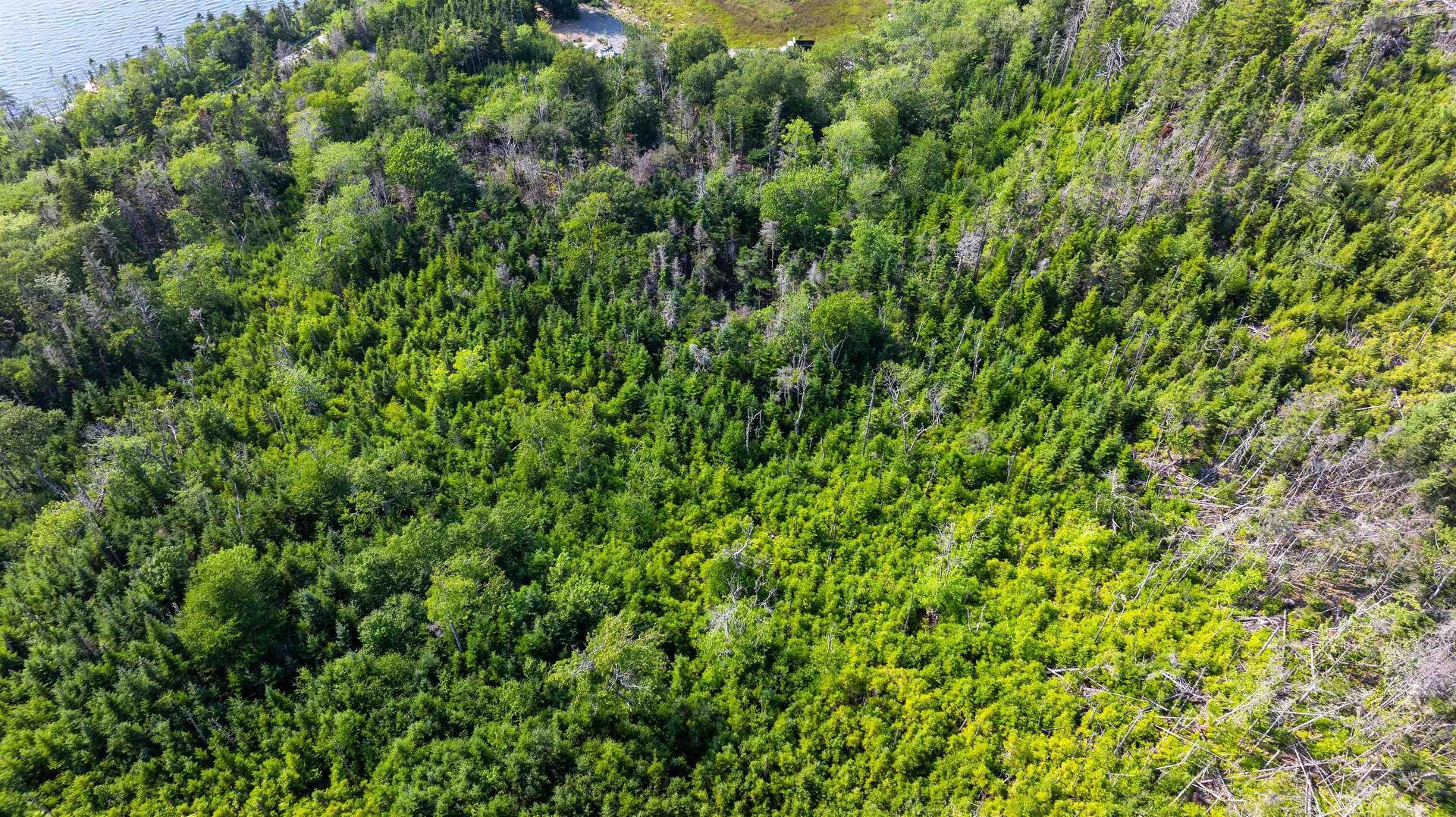 29 Acre Parcel Highway 7 Highway E, East Ship Harbour, NS