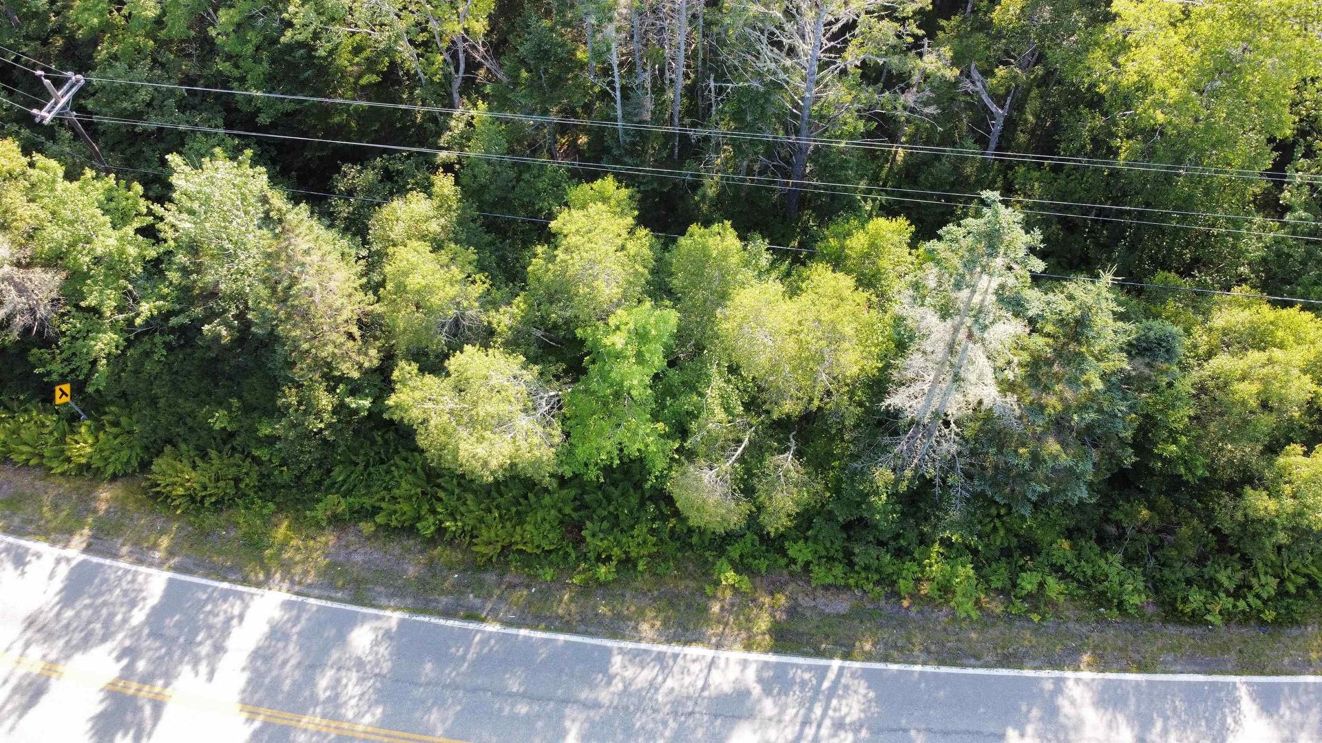 Lot Pages Corner, Lydgate, NS