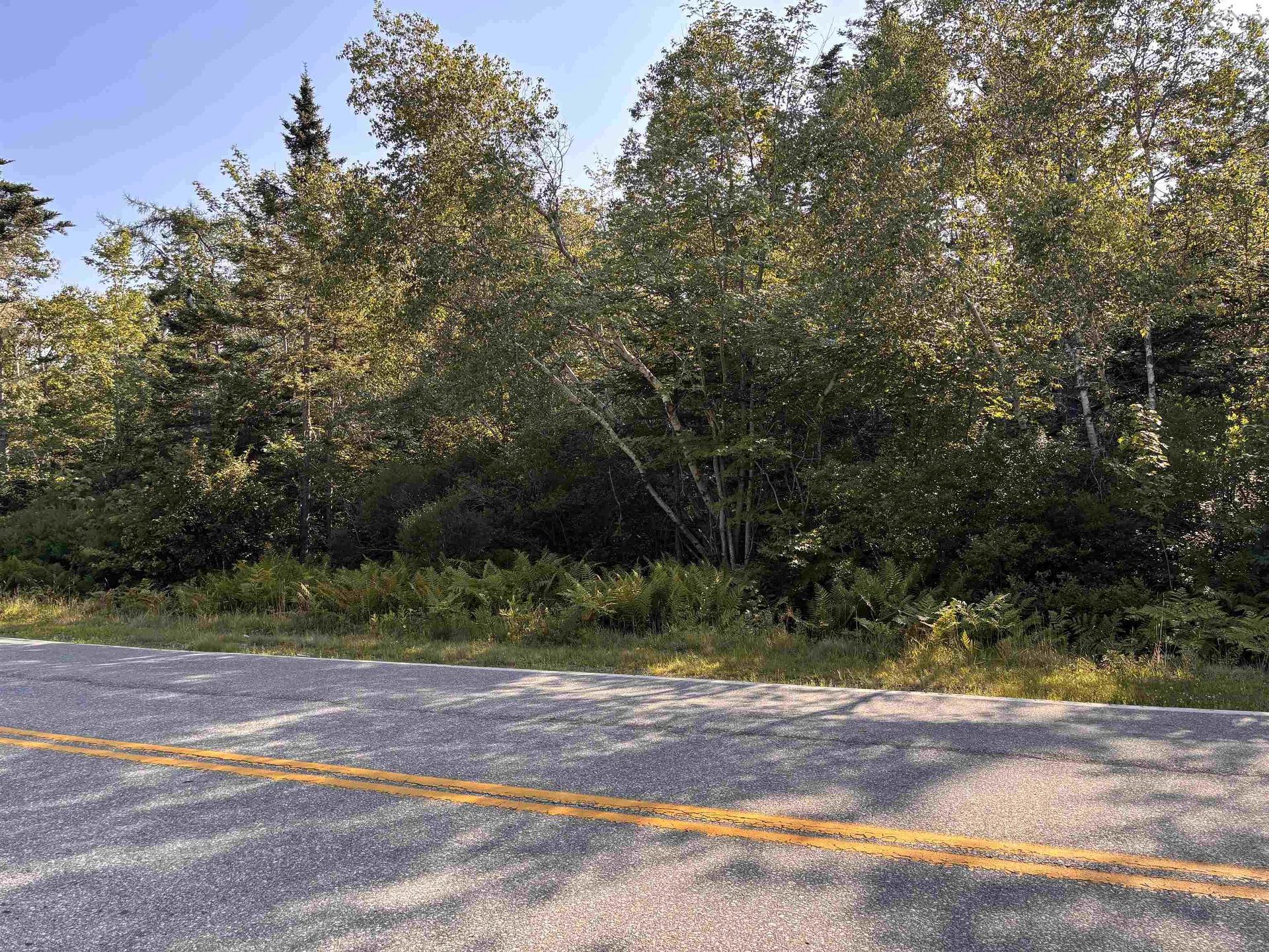 Lot Pages Corner, Lydgate, NS