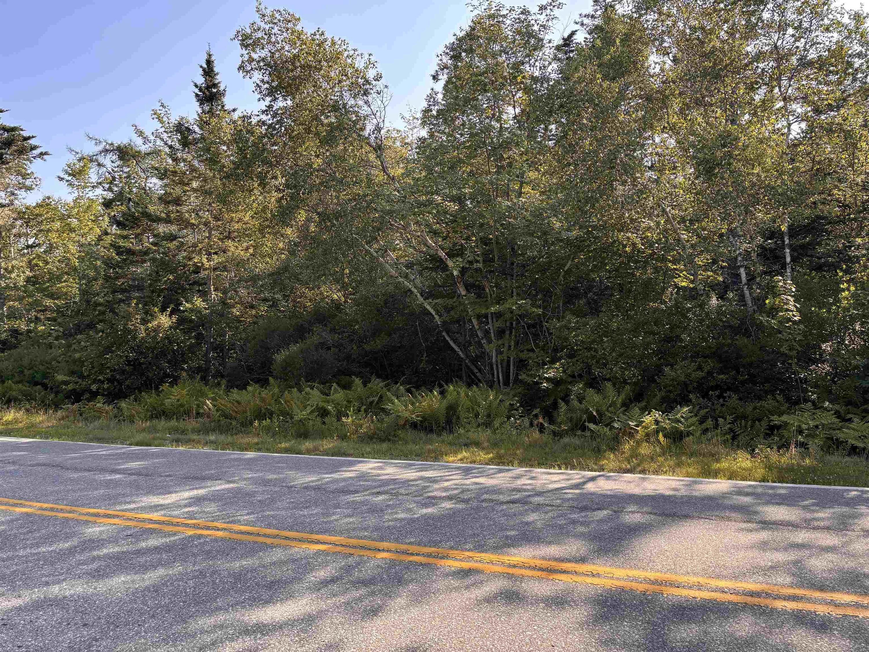 Lot Pages Corner, Lydgate, NS
