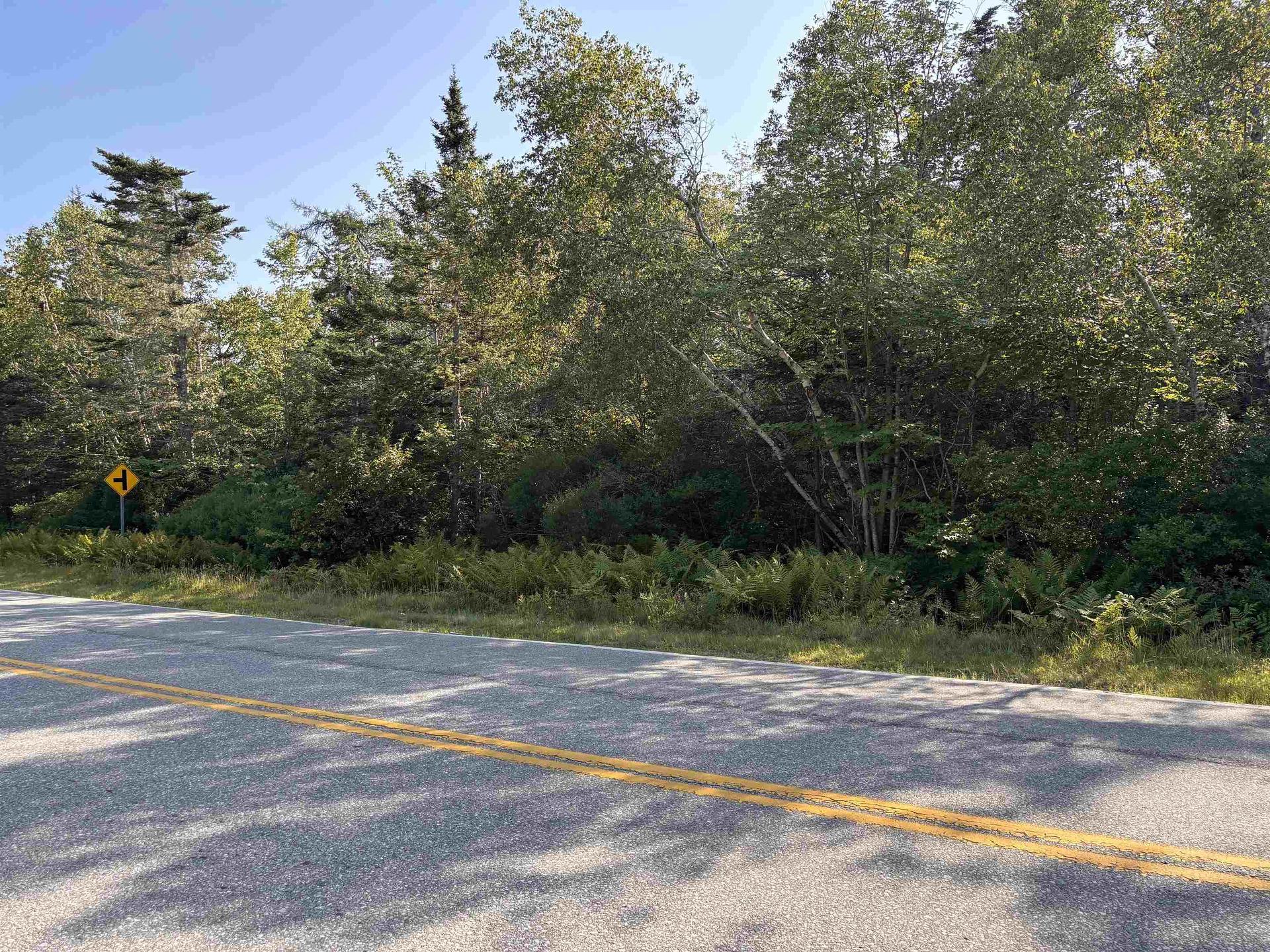 Lot Pages Corner, Lydgate, NS