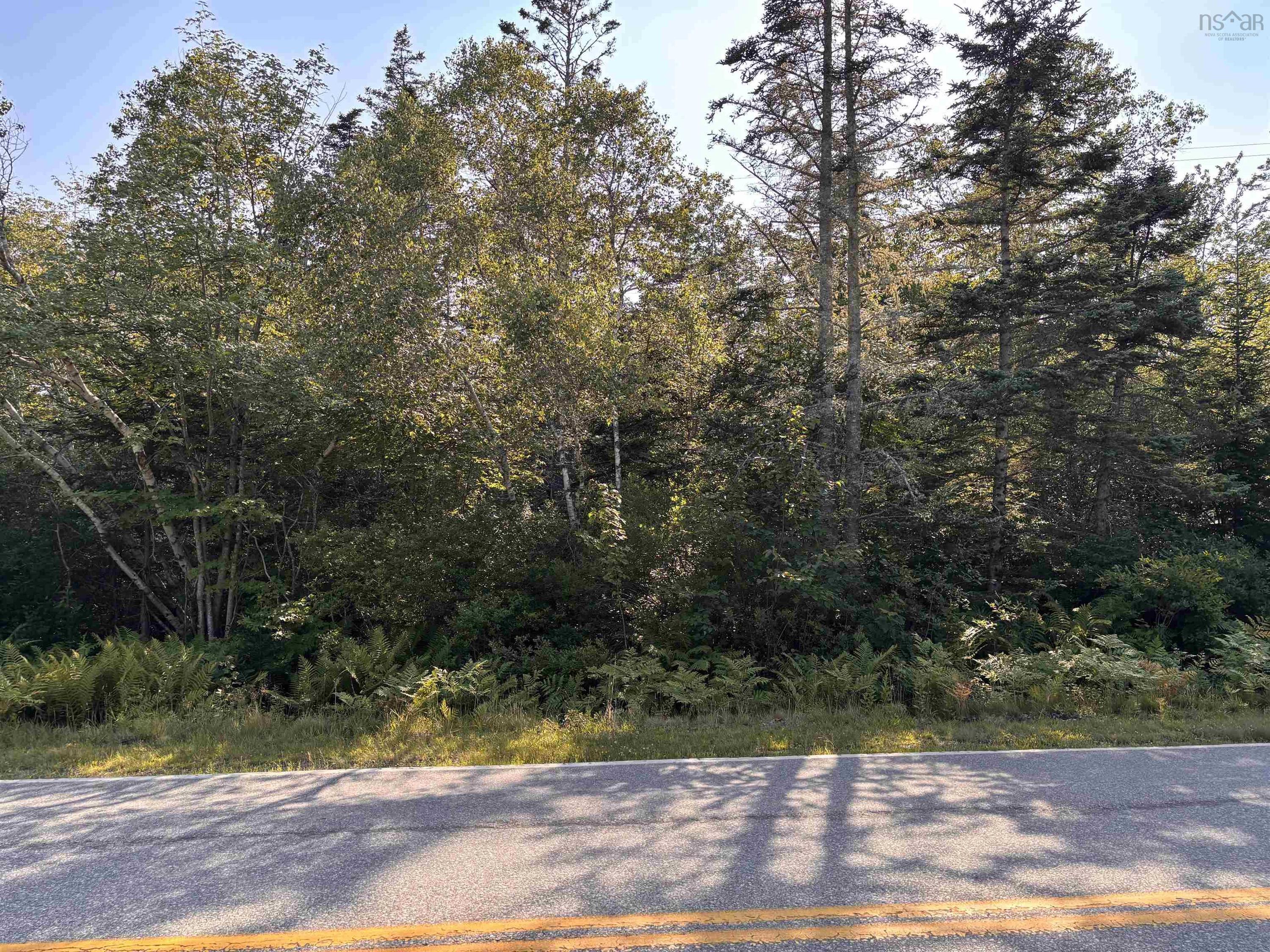 Lot Pages Corner, Lydgate, NS