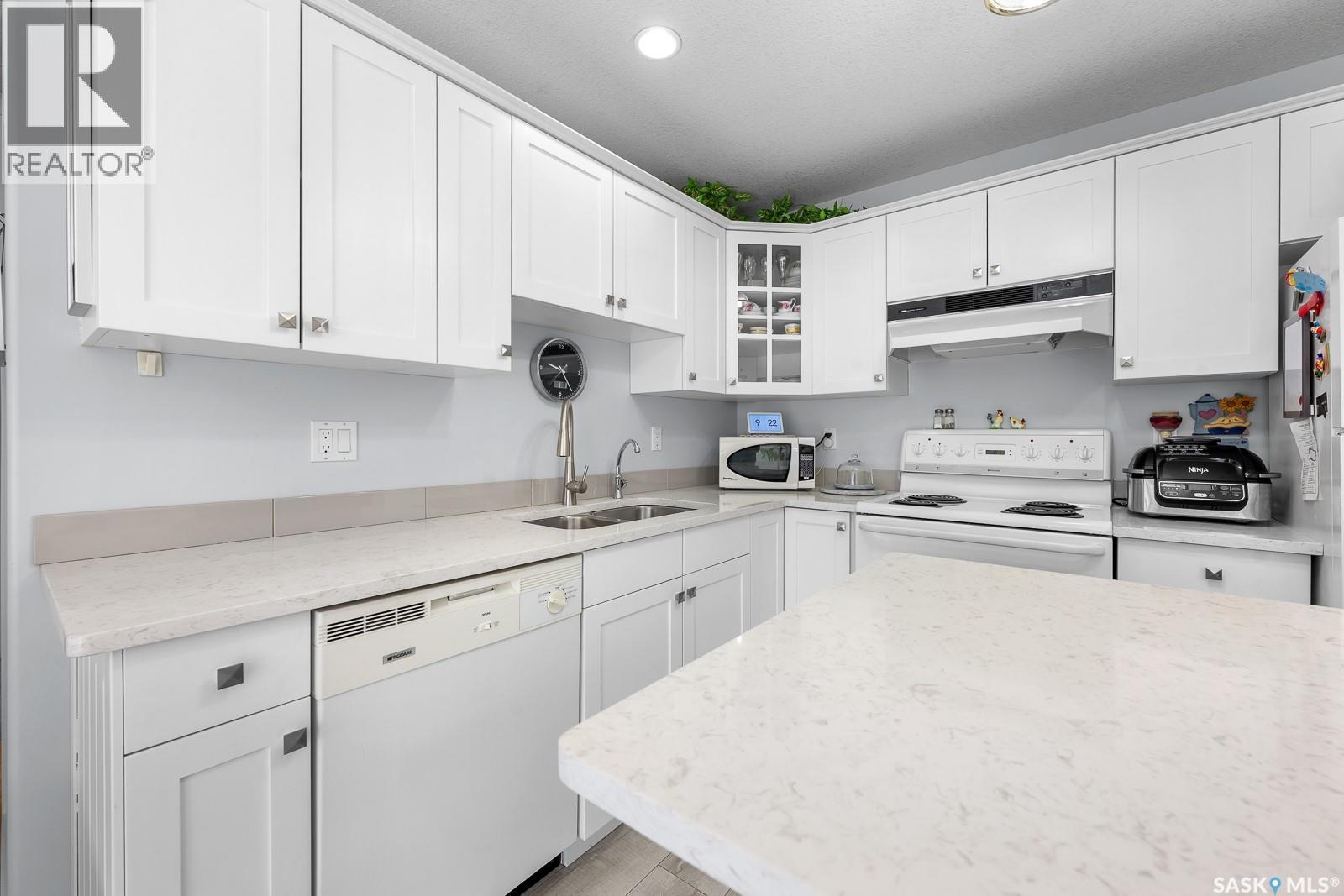 207 205 Mcintyre Street, Regina, SK - Indoor Photo Showing Kitchen With Double Sink