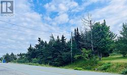 264 Bond's Path Placentia, NL A0B 2Y0