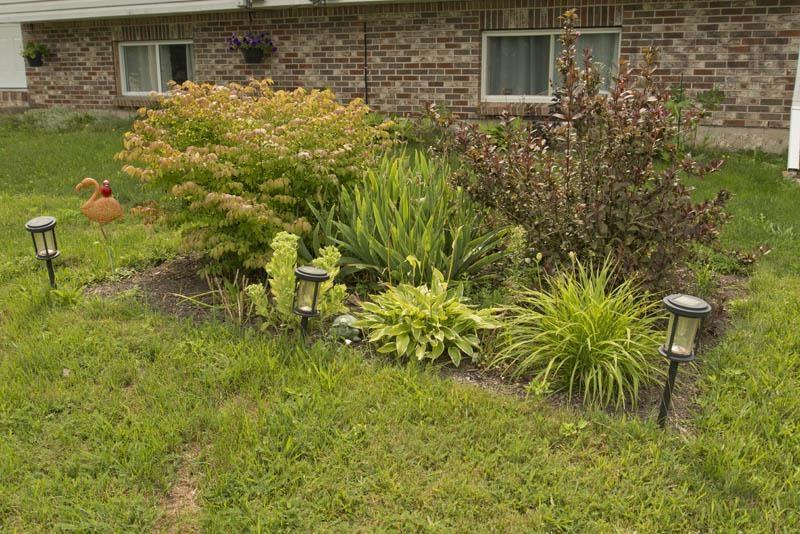 1027 Marie Crescent, Kentville, NS - Outdoor