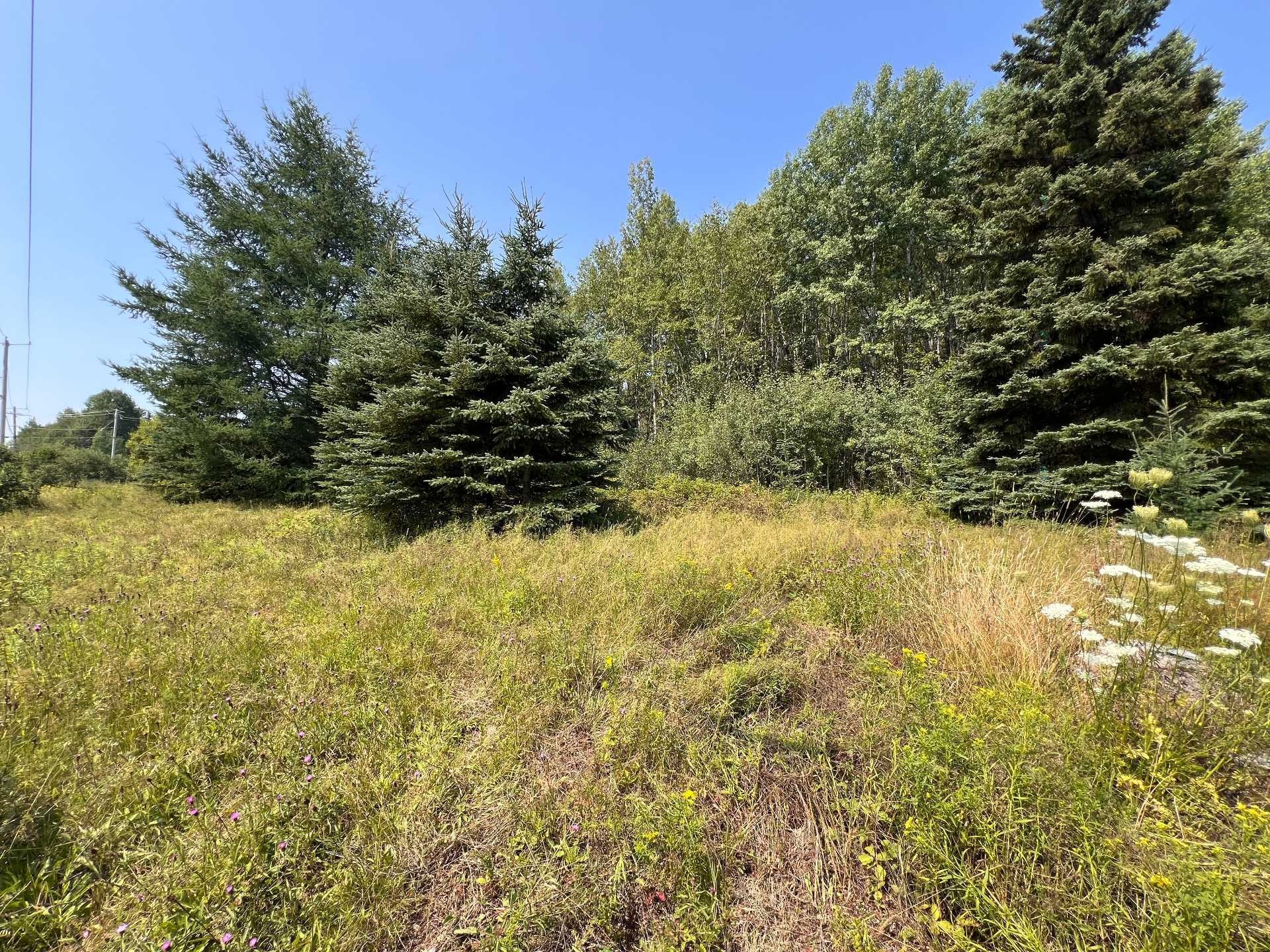 Terre/Terrain - Route 132, Escuminac, QC