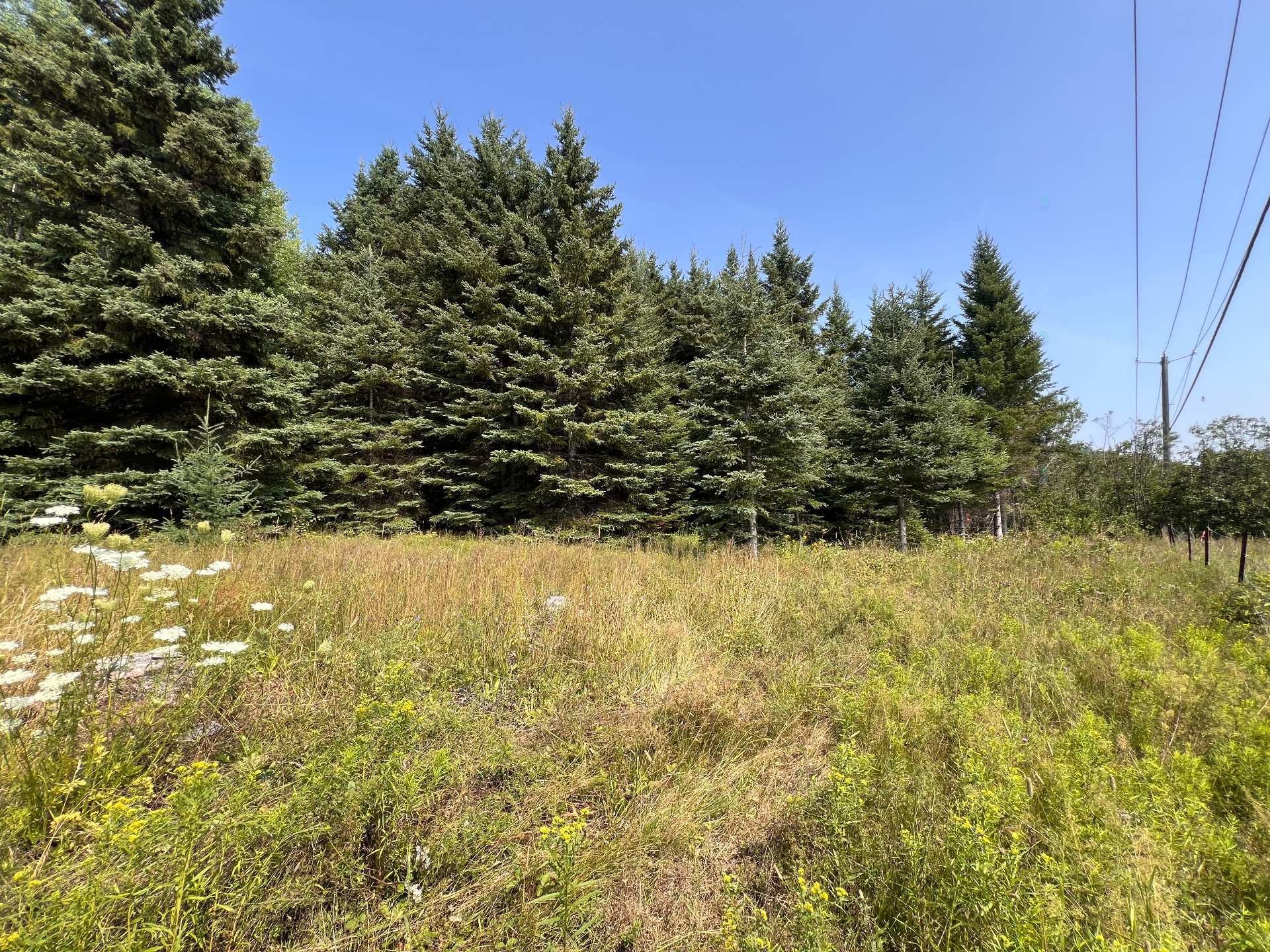 Terre/Terrain - Route 132, Escuminac, QC