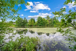 Accès au plan d'eau - 