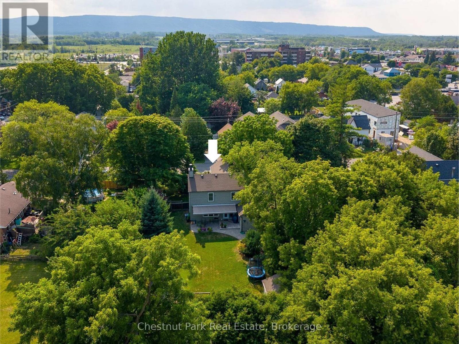 Just a short drive to Blue Mountain Village - 71 Hickory Street, Collingwood, ON - Outdoor With View
