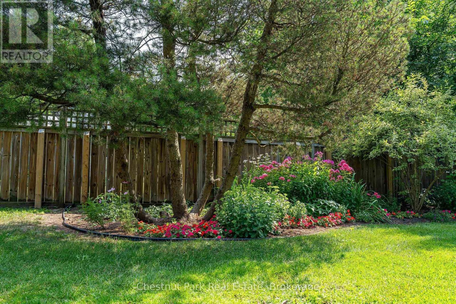 Beautiful landscaped gardens and backyard. - 71 Hickory Street, Collingwood, ON - Outdoor