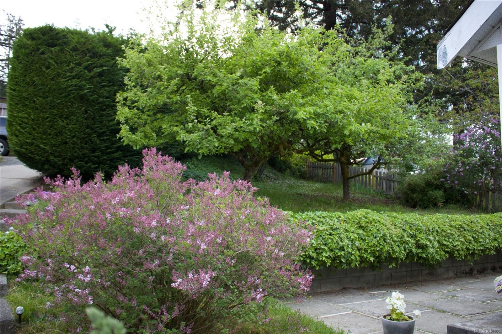 9265 Chemainus Rd, Chemainus, BC