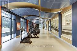 Gym - 