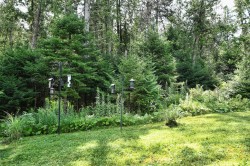 Overall view - 