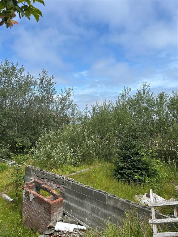 116 Bareneed Road, Bareneed, NL - Outdoor With View