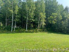 1880 Gowan Brae Dr, Bathurst, NB - Outdoor With View