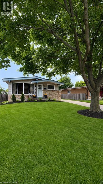 241 Thorner Drive, Hamilton, ON - Outdoor With Deck Patio Veranda