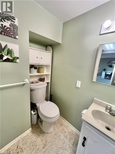 241 Thorner Drive, Hamilton, ON - Indoor Photo Showing Bathroom