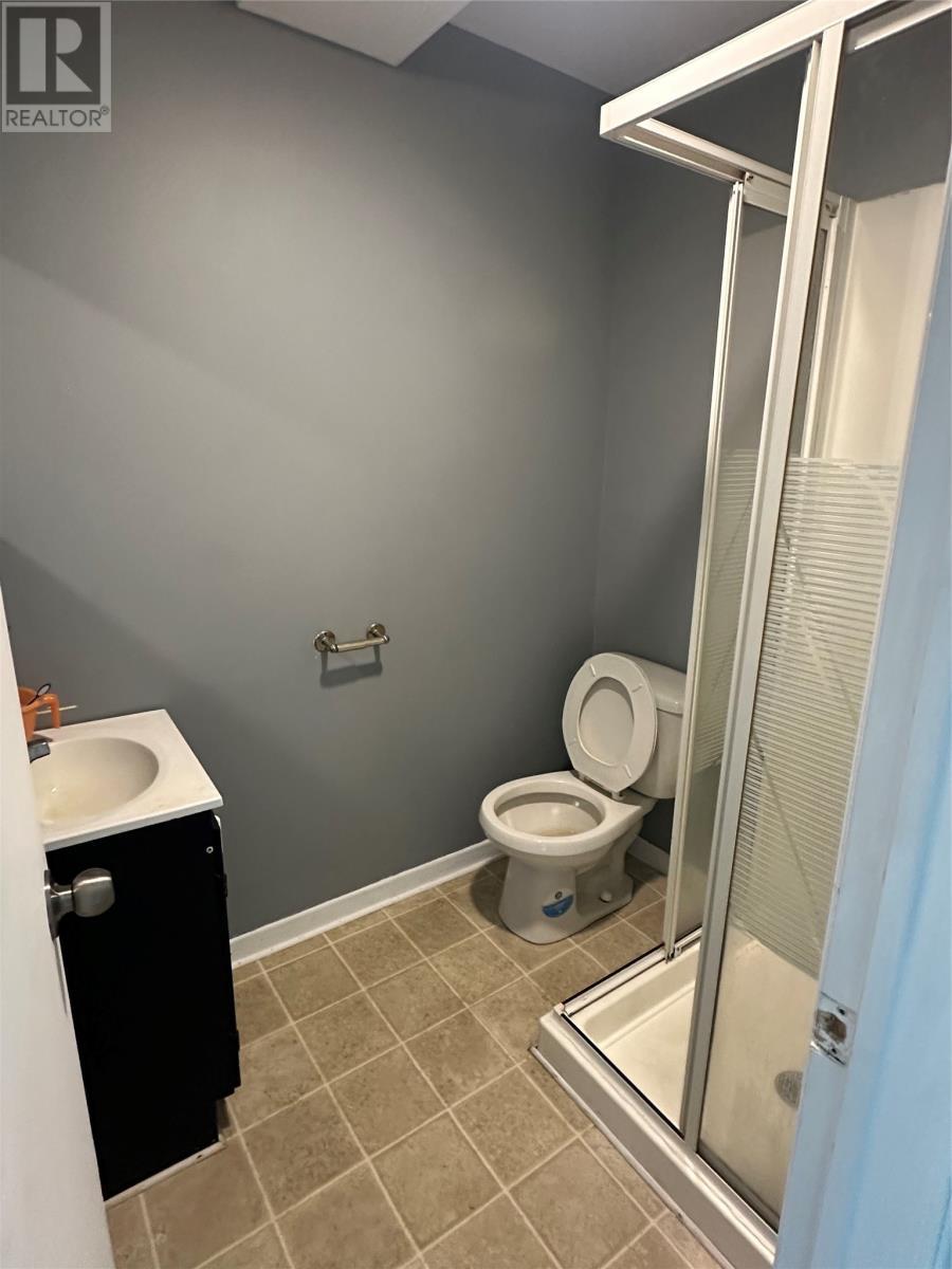 12 Blatch Avenue, St. John'S, NL - Indoor Photo Showing Bathroom