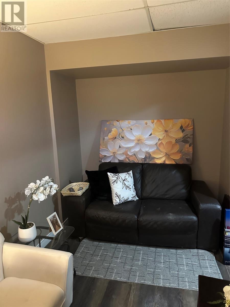 12 Blatch Avenue, St. John'S, NL - Indoor Photo Showing Living Room