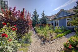Backyard Canvas for Green Thumbs - 