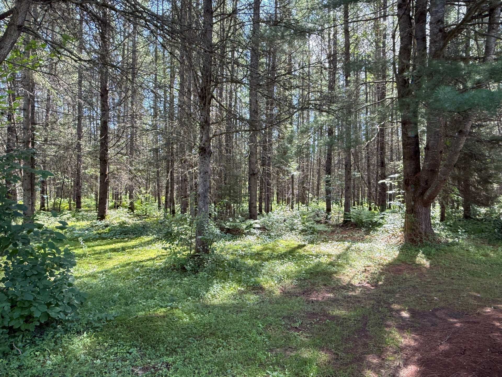 Courtyard - 4470 Ch. De La Gare, Labelle, QC - Outdoor With View