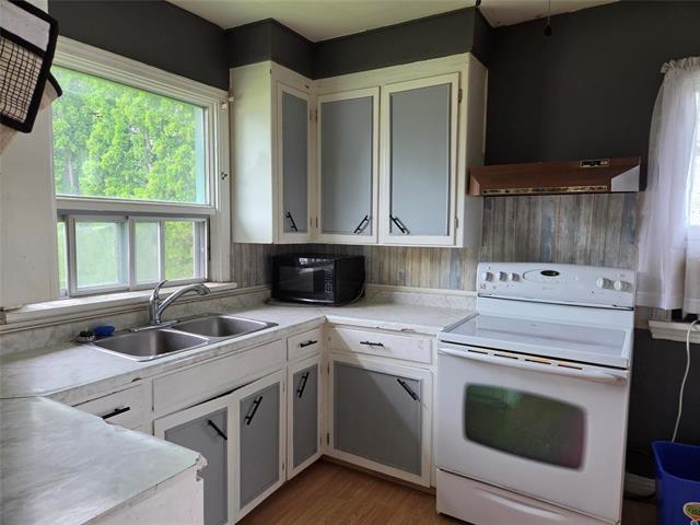 647 Muriel St, Winnipeg, MB - Indoor Photo Showing Kitchen With Double Sink