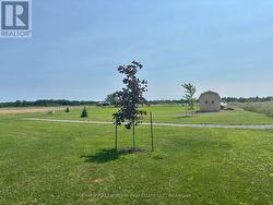 many trees planted 2025 and new shed August 2026 - 