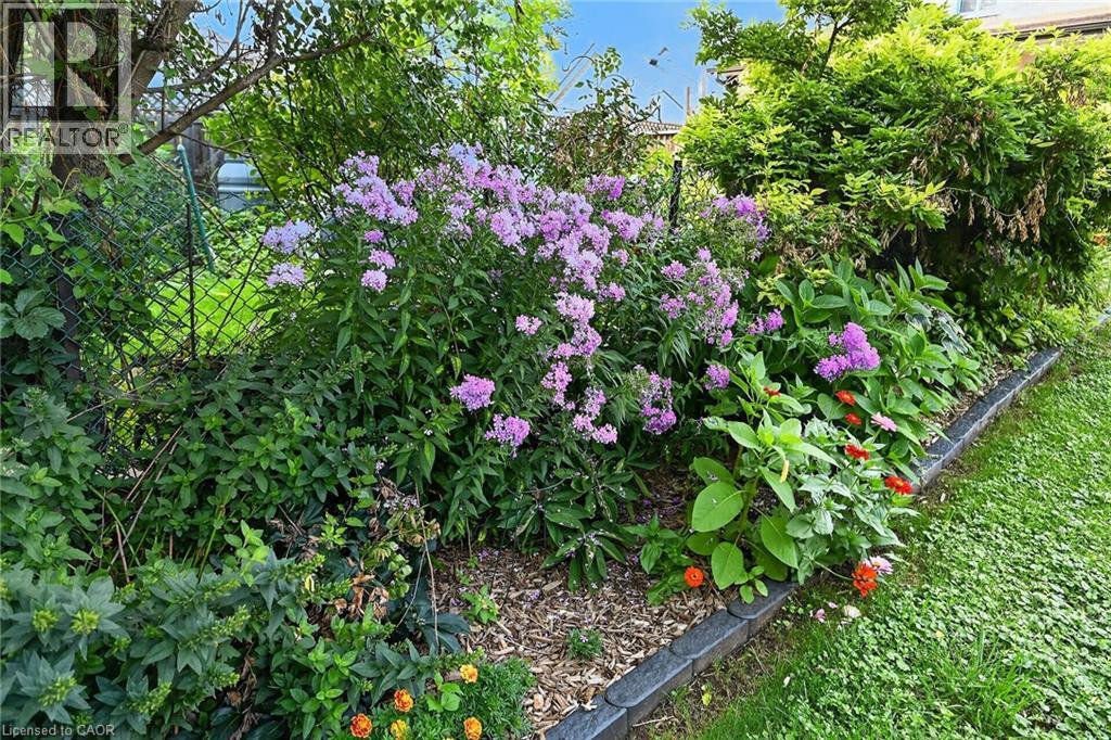 230 Picton Street E, Hamilton, ON - Outdoor