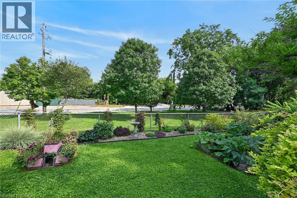 Expansive lawn area with a chain-link fence, mature trees, and landscaped garden beds - 230 Picton Street E, Hamilton, ON - Outdoor