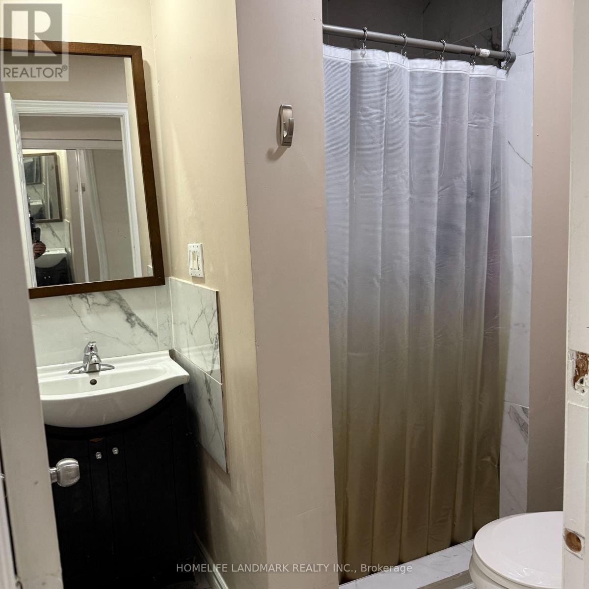 336 King William Street, Hamilton, ON - Indoor Photo Showing Bathroom