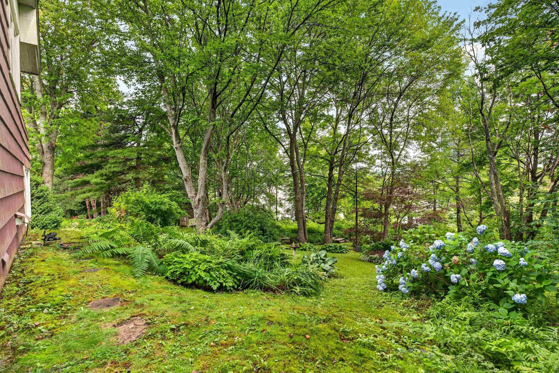 15 Cranston Ave,, Dartmouth, NS - Outdoor