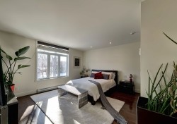 Chambre à coucher principale - 