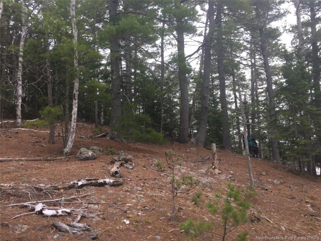 - Ledge Rd, Saint Stephen, NB