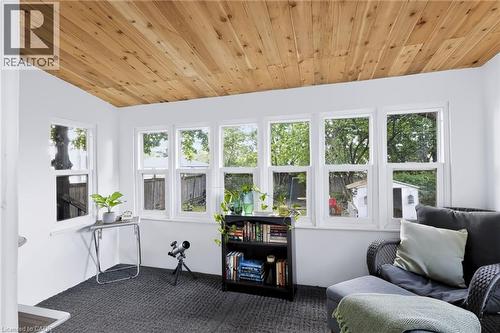 Wood-paneled ceiling, multiple white-framed windows, white walls, and gray textured carpeting - 703 Brighton Avenue, Hamilton, ON 