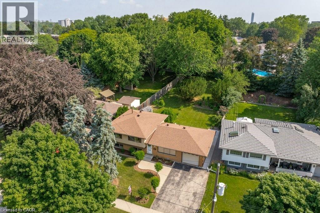Brick exterior residence with a brown shingle roof, paved driveway, and established landscaping - 64 Warren Road, Kitchener, ON - Outdoor