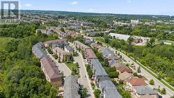 Bird View - 