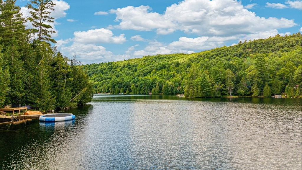 Bord de l'eau - 166 Ch. Du Camp, Val-Des-Monts, QC
